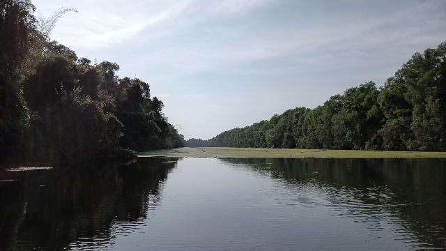 Wetlands at Dong Thap Muoi Eco Reserve