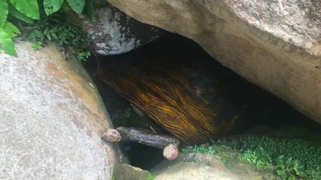 Minh Dam Mountain hospital cave entrance