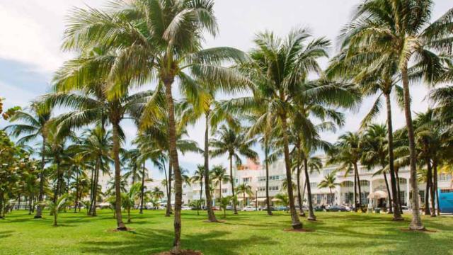 Front Beach Park in Vung Tau